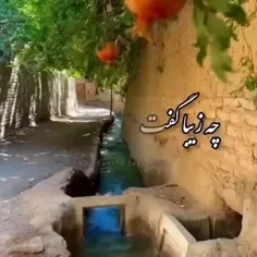 نه تو می‌مانی نه اندوه ونه هیچ یک از مردم این آبادی...