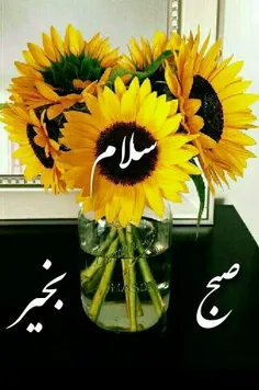 ☀️ به نام خدای بی همتا 