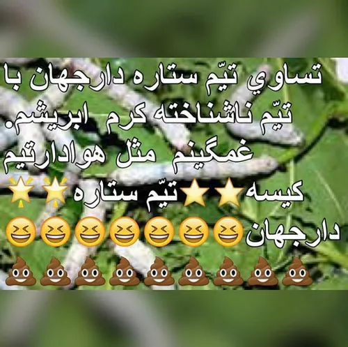 اخه تیمشون ستاره داره خخخخ ستاره دارازتیم گل ابرشیم گل نخ