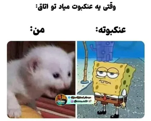 خدایی حق نبود