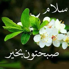 زندگی گاه به‌کام است‌ و بس،