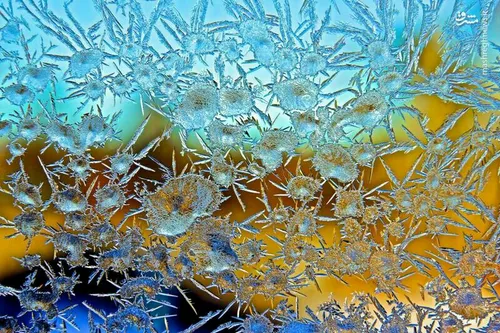 تصاویر زیبا از بلورهای یخی 😍