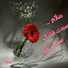 سلام که تکرار شود،