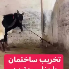 تخریب ساختمان با مناست ترین قیمت 😜😂