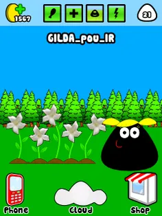 GILDA_POU_IR