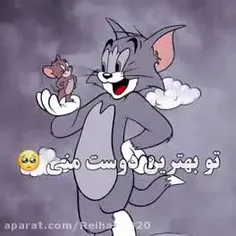 عنترم رو ۳۰۰ تایی کنید :)🚶‍♀️