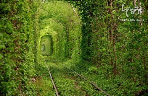 تونل عشق، تونل قطار قدیمی در کِلِوِن، اوکراین،