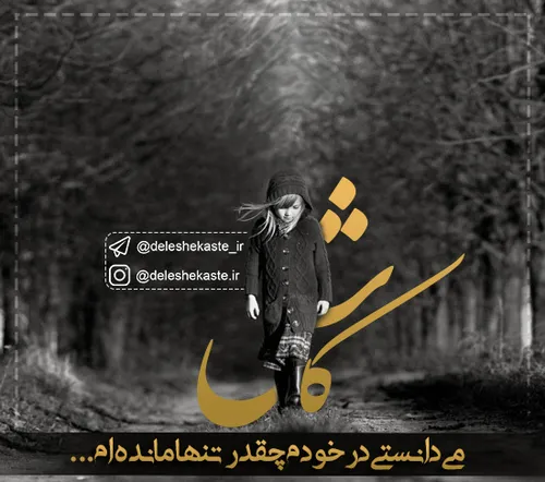 کاش می دانستی در خودم چقدر تنها مانده ام...