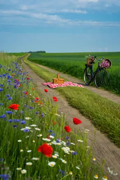 جای رسیدن و پهن کردن یک فرش