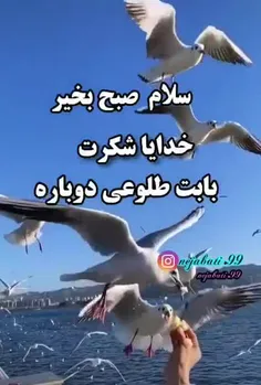 صبح زیباتون بخیر

خونه هاتون پر بركت

شادی توی دلهاتون

آرامش توی قلبهاتون

دلتون پر امید

وجودتون سلامت

رابطه هاتون پر از عشق

روز خوبی داشته باشید