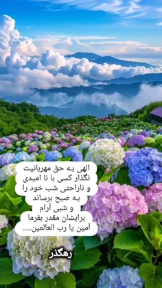 شب را خدا افرید تا انسان در ارامش