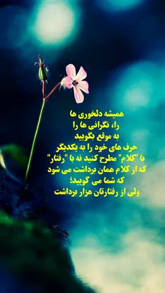 #عکس_نوشته