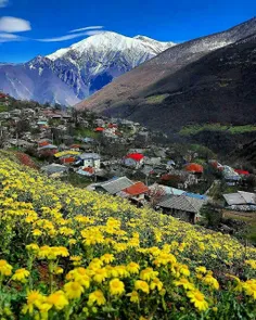✅ طبیعت بهاری روستای زیبای فشکور یکی از دهکده‌های ییلاقی 