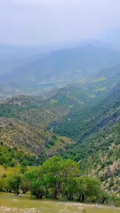 رایحه گل ها در هوا
