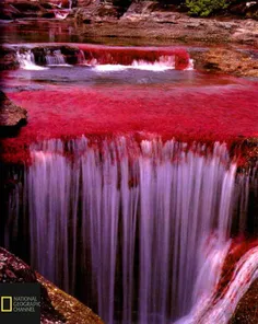 رودخانه رنگین کمان واقع در پارک ملی کلمبیا
