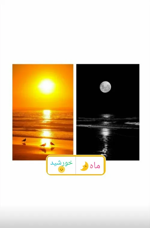 بگین نظرتونو!؟ ماه🌜 یا خورشید🌞؟؟