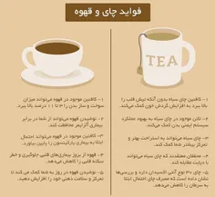 قهوه و چای سیاه چه فواید دارند؟ ☝ ️