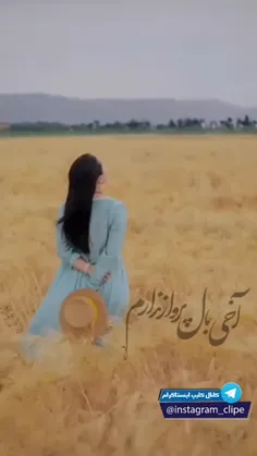 🍃 اخی بال پرواز ندارم 🍃