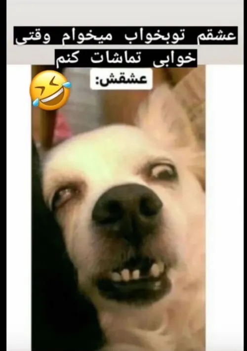 جرر😂😂😂😂