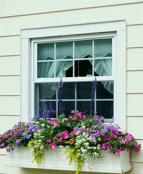 ایده های خلاقانه برای داشتن گلدان زیر پنجره 😍 هنر خلاقیت 
