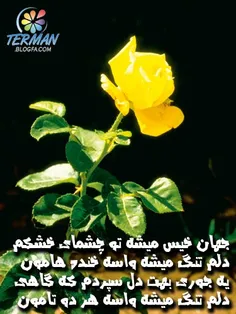 عکس نوشته