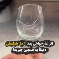 اثر عذرخواهی 