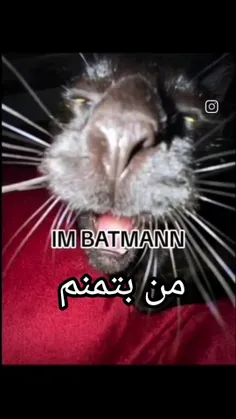 به عنوان  یک مارول و دی سی فن،عاشقشش شدم😂😂