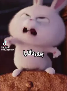 پروردگاراااااااا