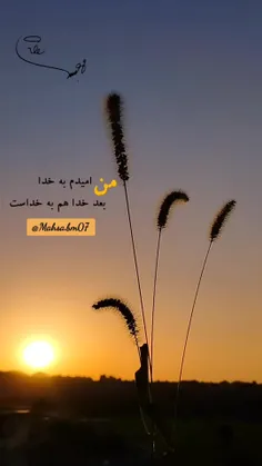 ✍️ من امیدم به خدا،