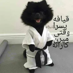 ههه