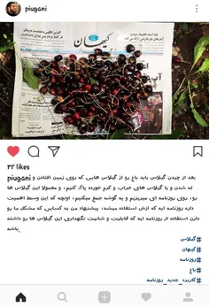 😎 👆  بلاخره #کیهان به درد خورد!!