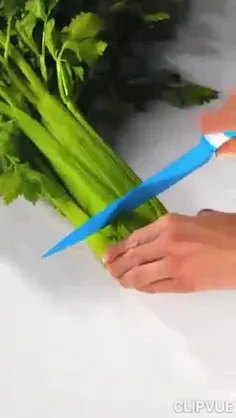 ترفند کاشت سبزیجات