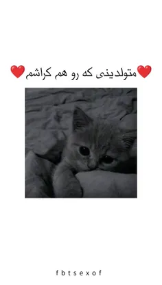 کامنت کن عشقت رو پیدا کن🤌🖇