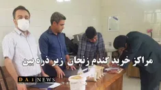 مراکز خرید تضمینی گندم استان زنجان مورد بررسی قرار می گیرد