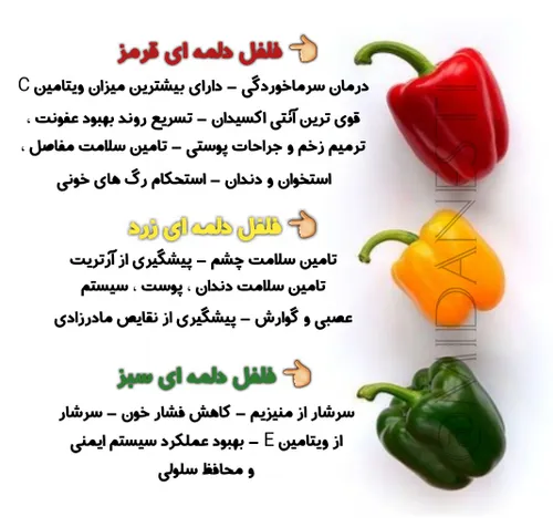 خواص رنگ های مختلف فلفل دلمه ای