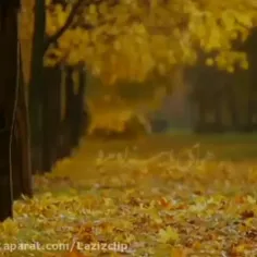 🍁مهدی احمدوند🍁