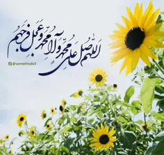 عاشقانه ها shahide25 28086689