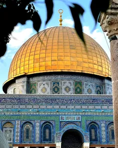 فلسطین جایی برای حاکمیت منحوس یهود ندارد