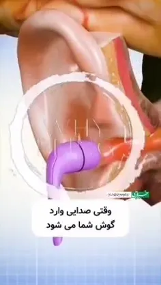 سبحان الله از خلقت پروردگار