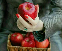 من به سیبی خشنودم
