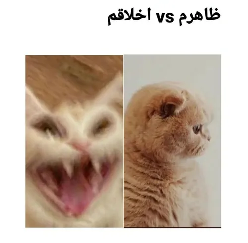 ظاهرم vs اخلاقم 😑😂