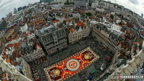 فرش گل بزرگ در بروکسل با الهام از نقوش مکزیکی