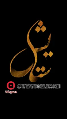 “چگونه می‌شود به شاخه شکسته فهماند که باد عذرخواهی کرده ا