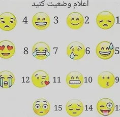 مثل همیشه 12 