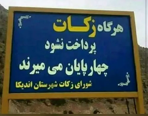 من حرفی ندارم