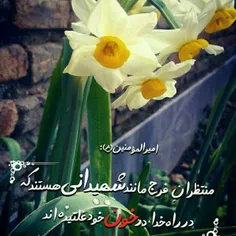 ‍ جان آقام ( عج ) . . .