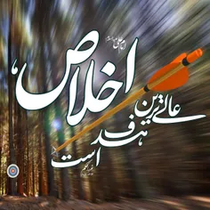 امام علی علیه السلام: 