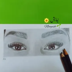 Drawing by pencil 💚🌿