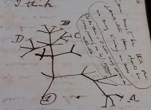 دستنوشته های سرقت شده داروین پس از ۲۰ سال به طرز رازآمیزی