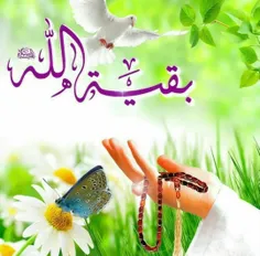 سلام امام زمانم سلام مهدی جانم 